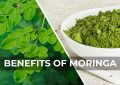 benefits of moringa
