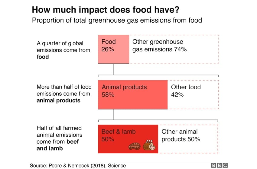 impact of food on environment, greenhouse gas emissions