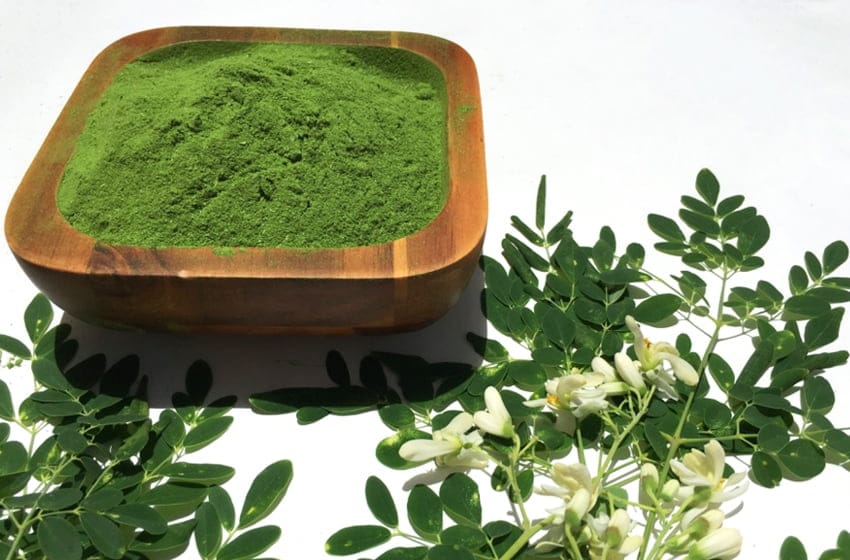 health benefits of moringa