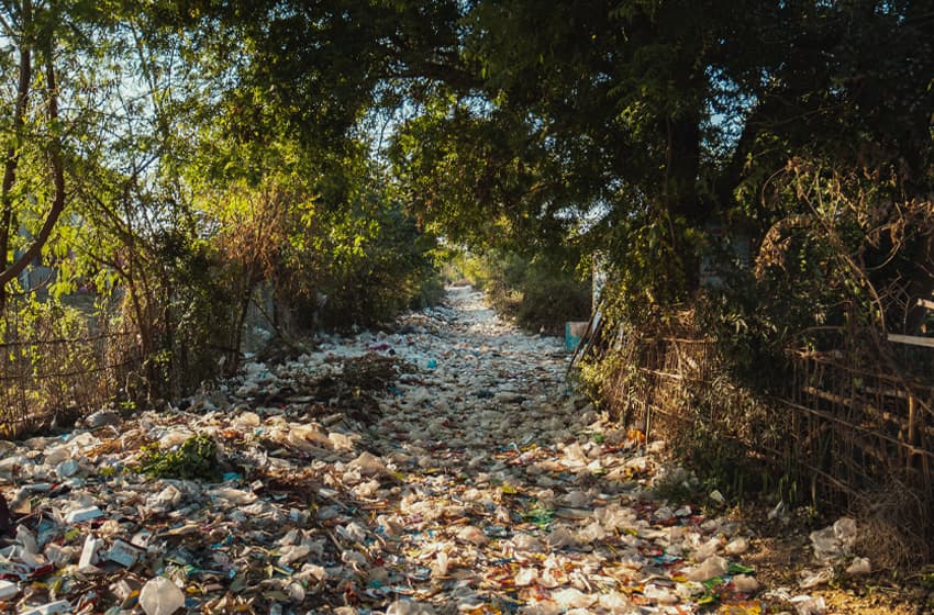 plastic bottle pollutes environment