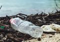 reasons to avoid plastic water bottles
