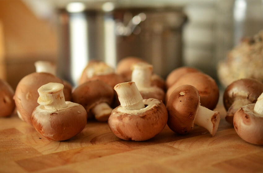 Fully grown tasty mushrooms