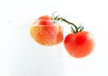 eating tomato prevent sunburn