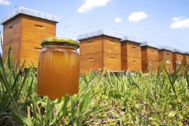 honey market trends