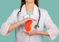 female doctor holding mockup human kidney