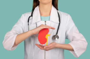 female doctor holding mockup human kidney