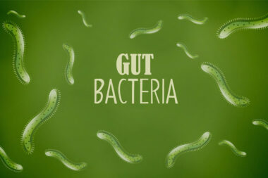 role of gut bacteria in weight management