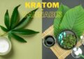 Kratom vs. Cannabis: Health Benefits and Uses