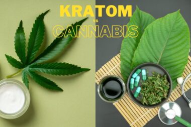 Kratom vs. Cannabis: Health Benefits and Uses